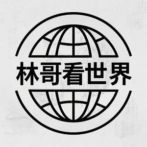 林哥看世界 头像
