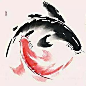 十点每日养生 头像