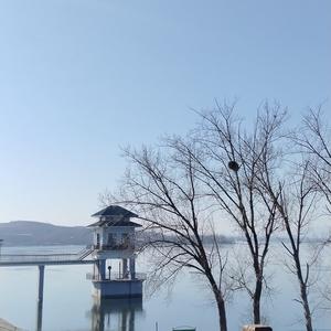 平安chui泡泡 头像