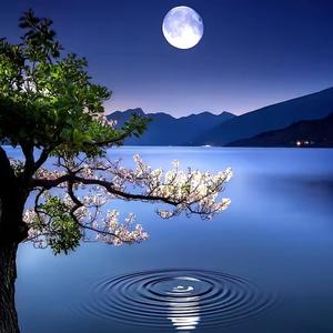 激情燃烧的岁月 头像