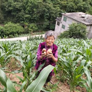 平凡的山里人家 头像