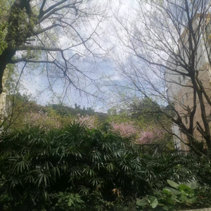 深圳企业方案 头像