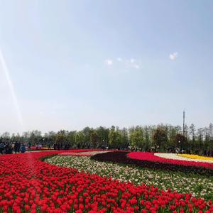 梦幻我心依旧你好 头像