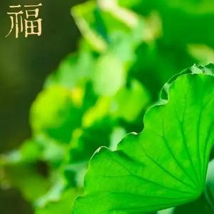 观6最初梦想