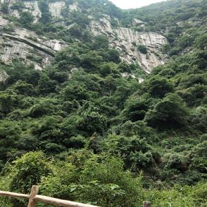 花生豆3364 头像