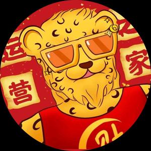 团长运营之家 头像