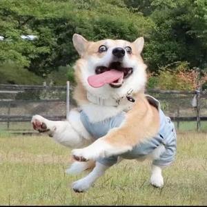 一位老萌新 头像