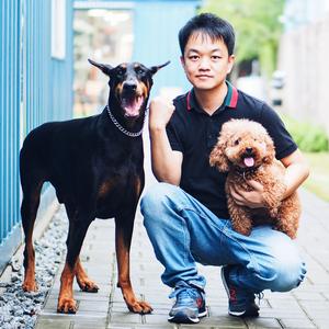 巨小萌训犬头像