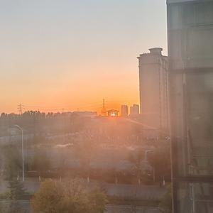 青柠娱乐pro 头像