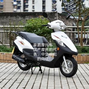 踏板骑士。 头像