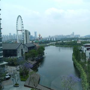 每天笑哈哈 头像