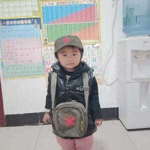 自由的微风 头像