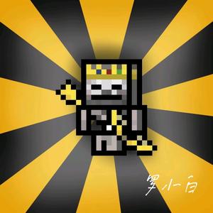 我的世界罗小白 头像