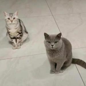 微笑扑克Cnu 头像