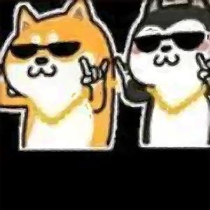 游门军师 头像