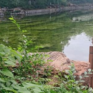 芳芳能量智慧屋 头像