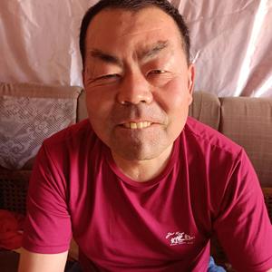 双脑子