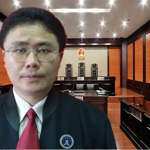 文金发律师