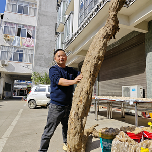 少年强猫哥头像