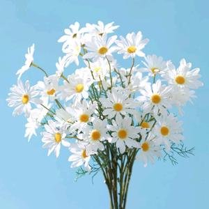 湖北雨过天青 头像