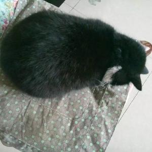 生活白开水加点盐 头像