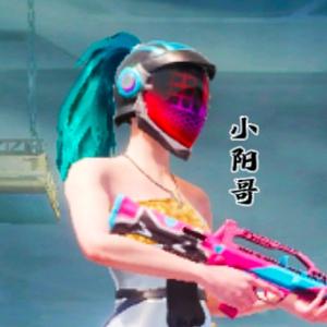 小阳哥吃鸡说 头像