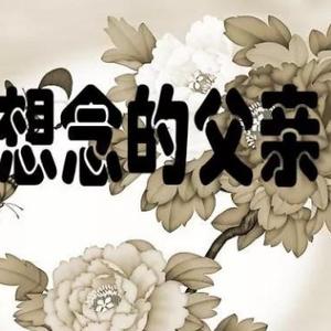 老楚啊