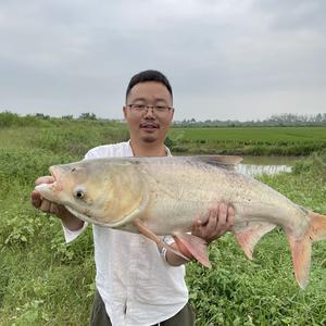 鹤渔人鹤渔人户外专卖店 头像