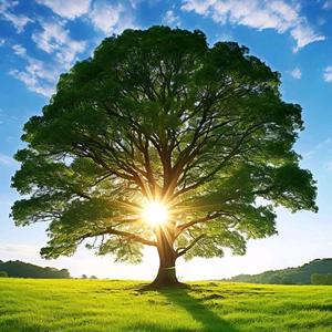 九月看世界 头像