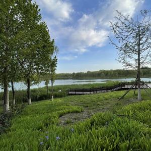 小牛牛的牛宝宝 头像