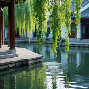 切菜不用刀 头像