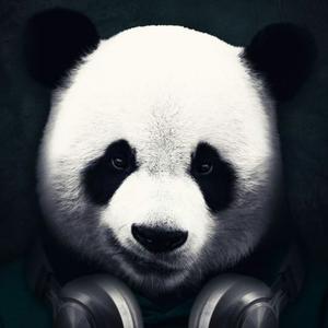 风继续吹40431786 头像