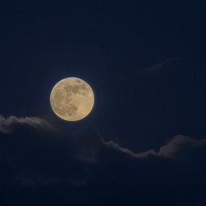 一起看世界 头像