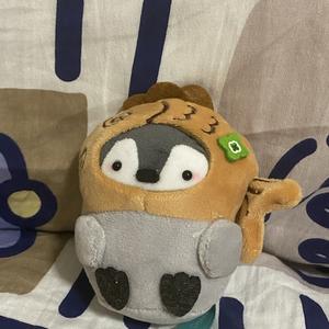 财经炸毛熊 头像