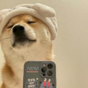 萌宠迷惑图鉴 头像