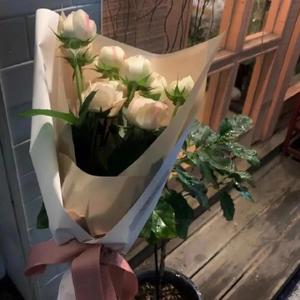 烬鱼u星学 头像