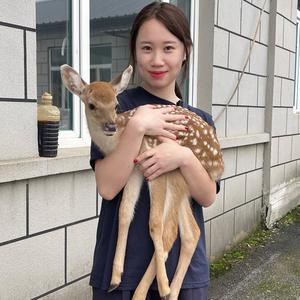 养鹿双妹 头像