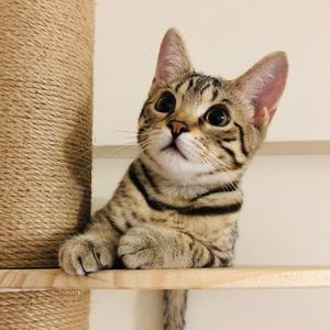 加冕别偷懒 头像