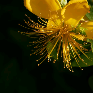 【学海无涯】 头像