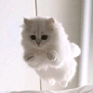 叮当爱吃面条 头像