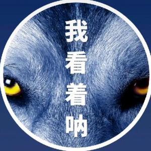 狼眼纪实