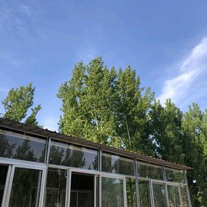 玉泉山莊老李 头像