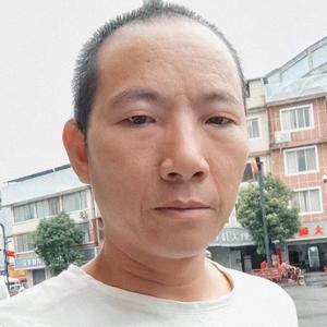 加油吧倔强熊 头像