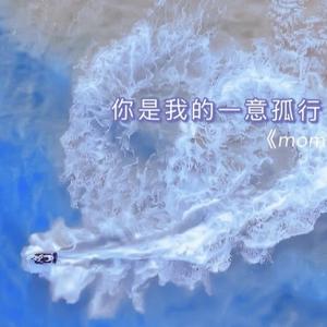 淡淡的橙Q 头像