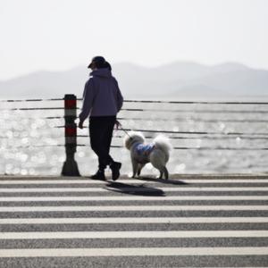 诺诺看世界 头像