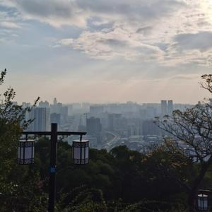 带露珠的橙子
