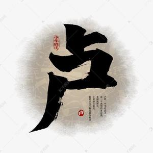 卢师经济 头像