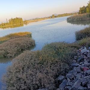 凉凉的秋风 头像