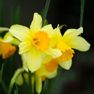 人生几刹那 头像