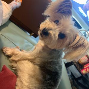 汤小臭的老年生活 头像